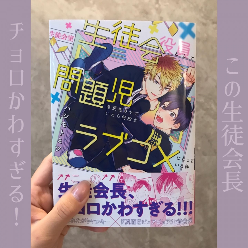 生徒会役員として問題児を更生させていたら何故かラブコメになっていた件