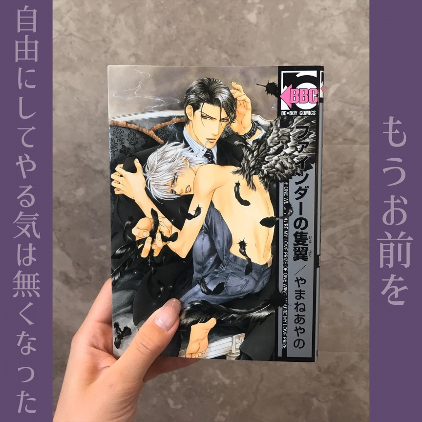 ファインダーの隻翼