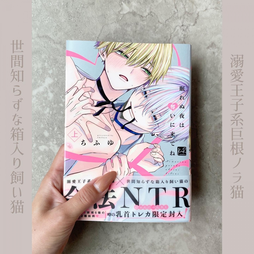 眠れぬ夜は奪いに来てね 上