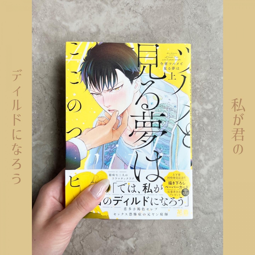 今宵ツバメと見る夢は 上下
