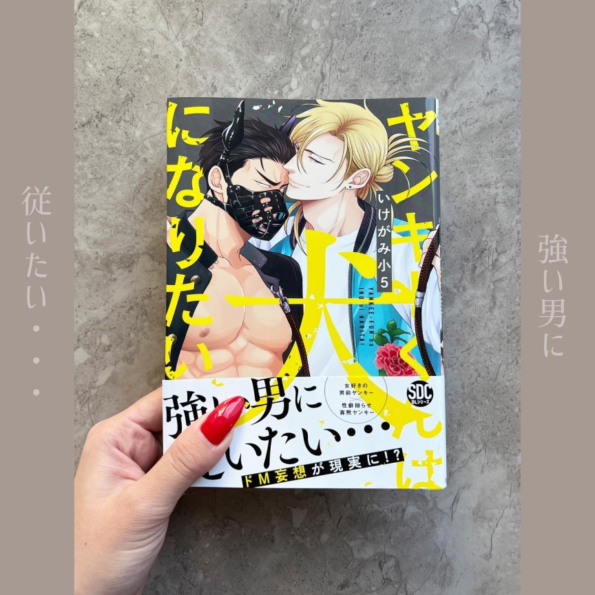 ヤンキーくんは犬になりたい