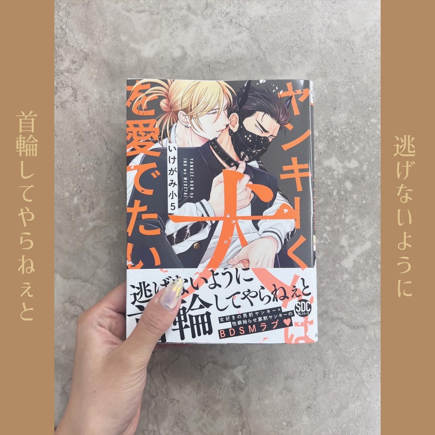 ヤンキーくんは犬を愛でたい