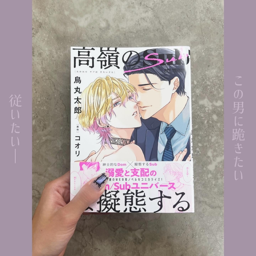 高嶺のSubは擬態する