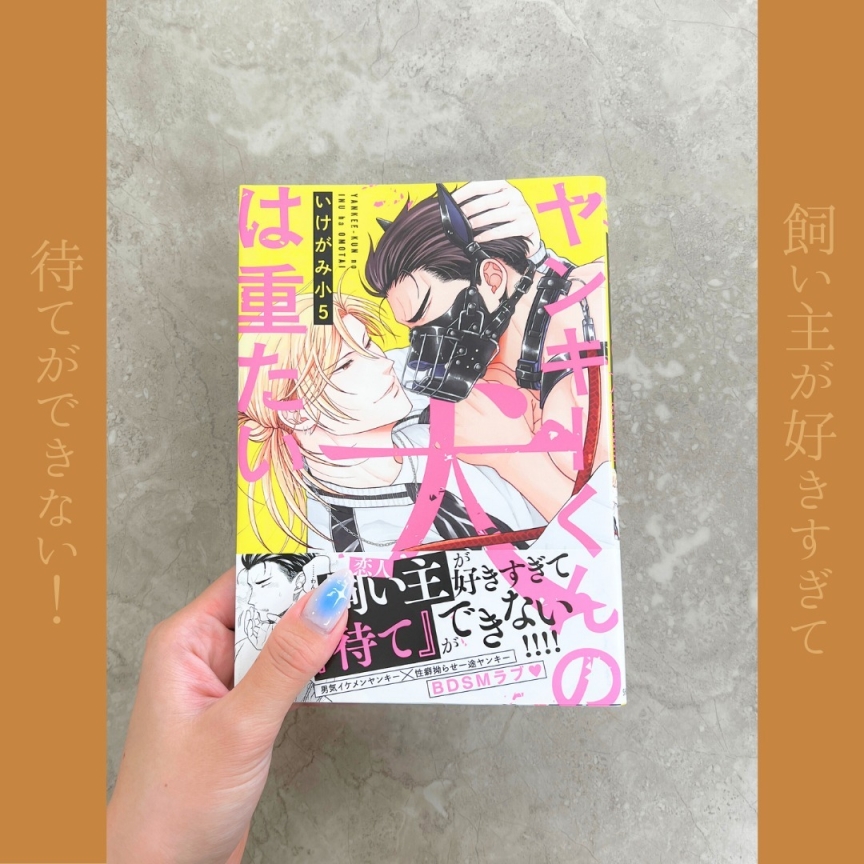 ヤンキーくんの犬は重たい